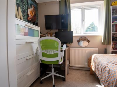Picture 13